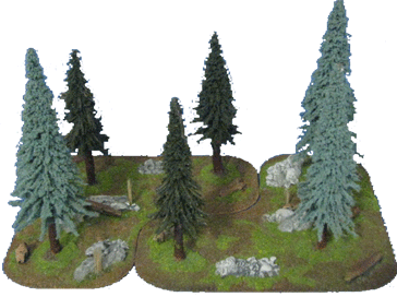 28mm Forest section