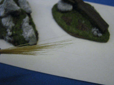 Painting Trees/ formations